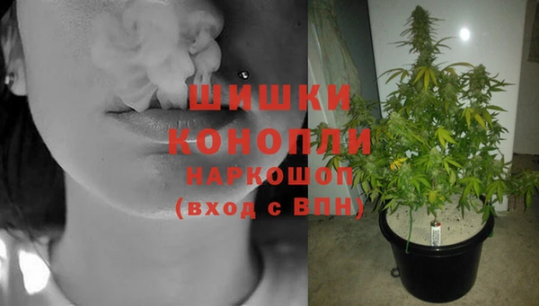 ешки Алексеевка