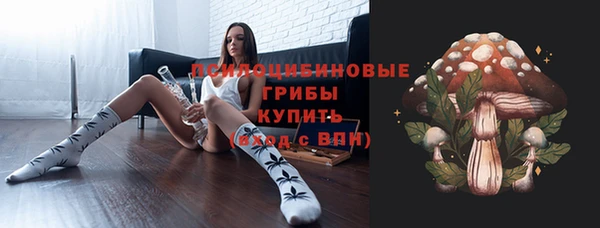 ешки Алексеевка