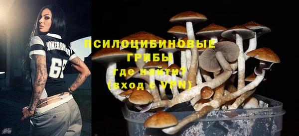 ешки Алексеевка