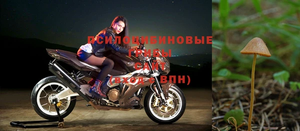 ешки Алексеевка